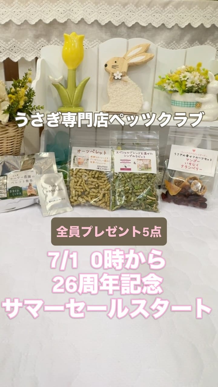 Post 7 by うさぎ専門店ペッツクラブ／うさぎの介護ケア on Instagram (video)