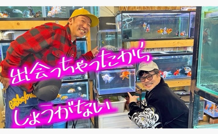 Post 10 by 金魚専門店ラックス on Instagram (carousel)