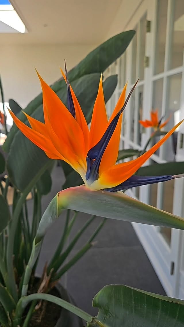 Post 1 by Home sweet home on Instagram (video)