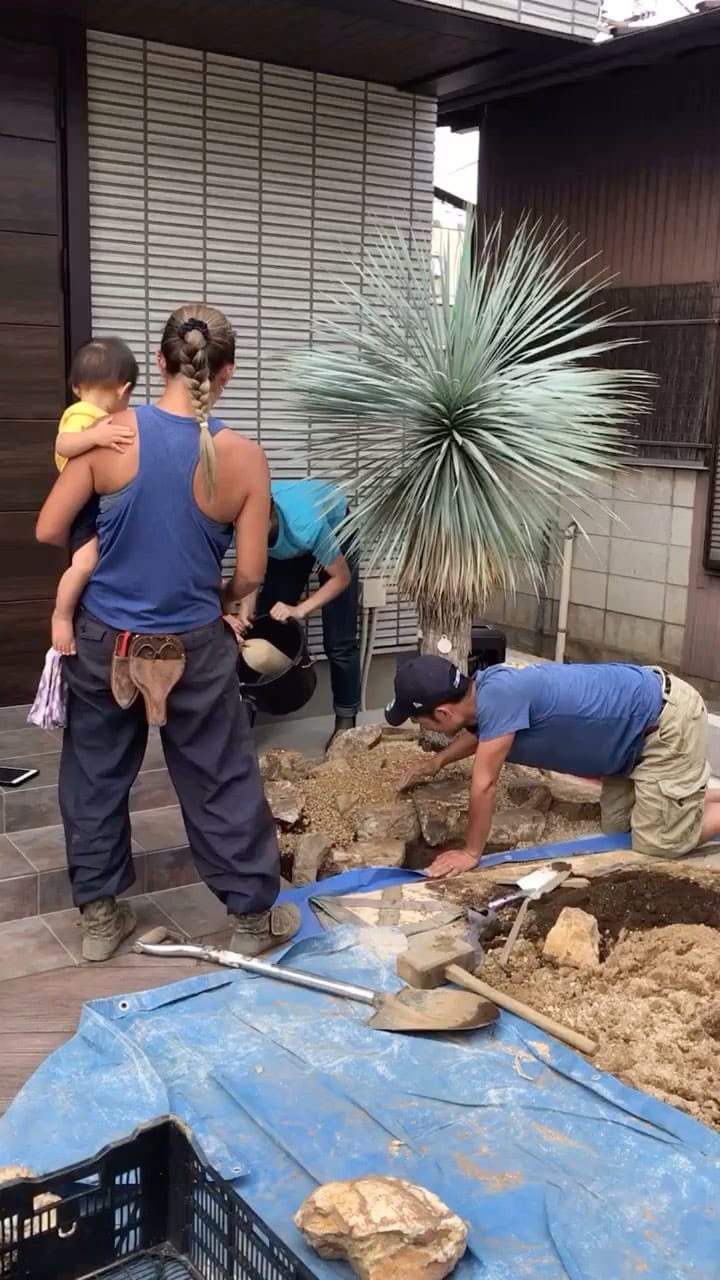 Post 10 by RYU PLANTS NETWORK on Instagram (video)