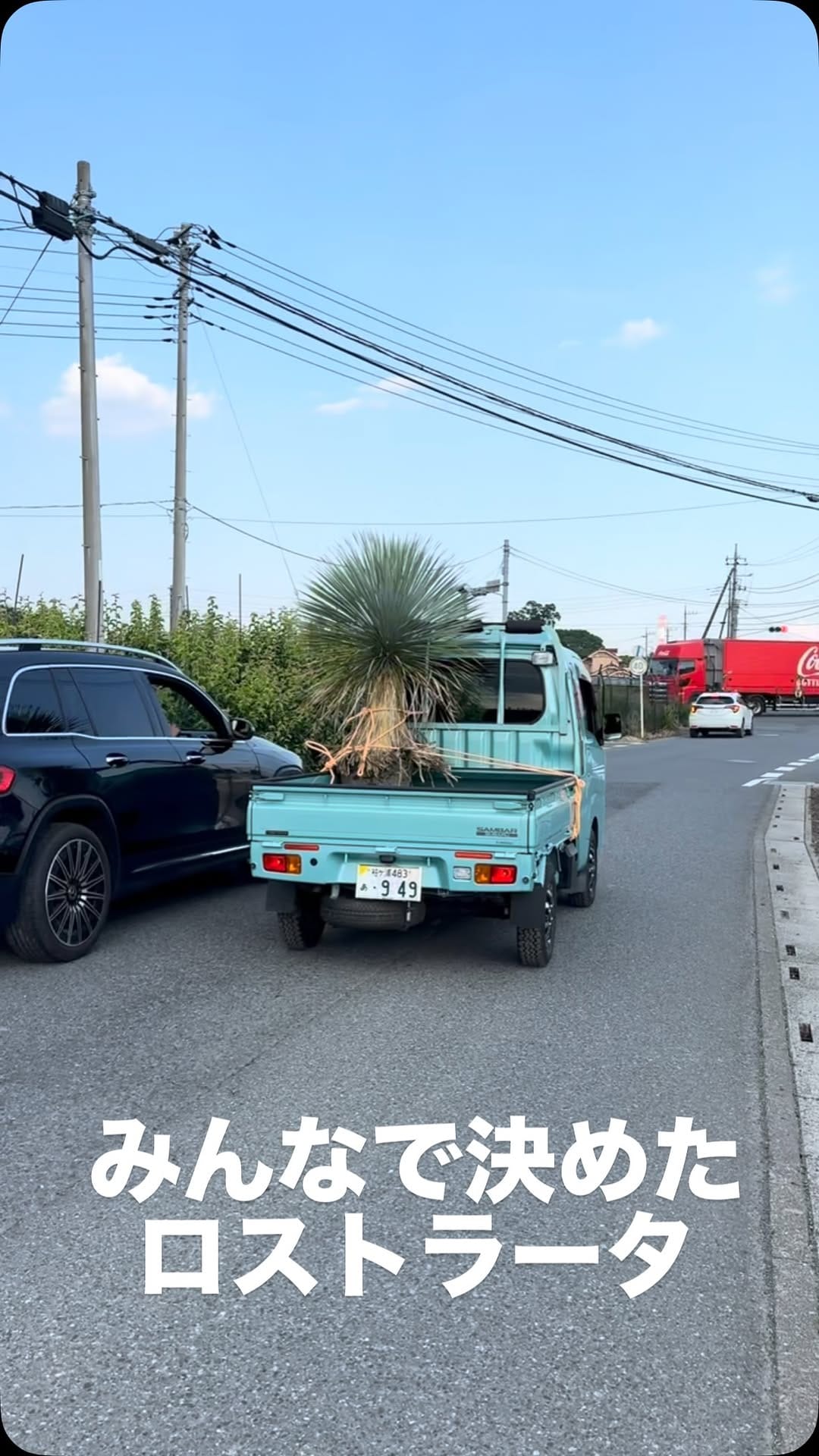 Post 4 by RYU PLANTS NETWORK on Instagram (video)