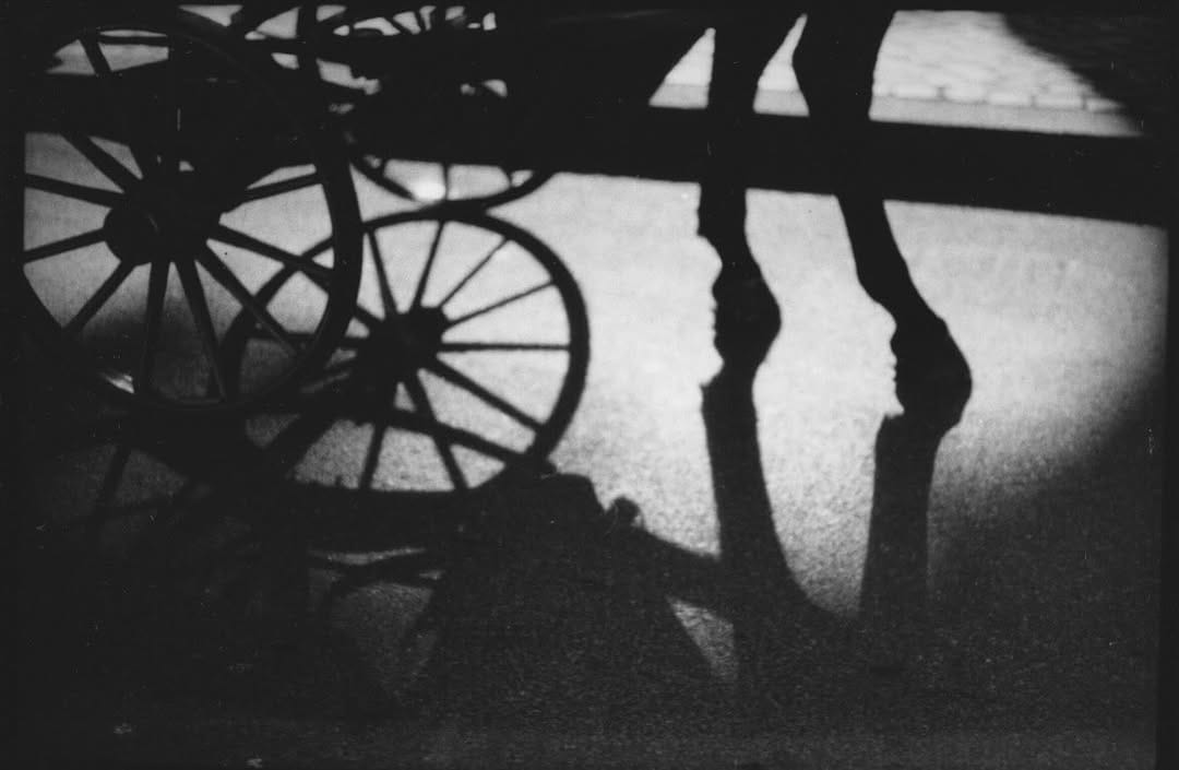 Post 4 by Giacomo Brunelli on Instagram (image)