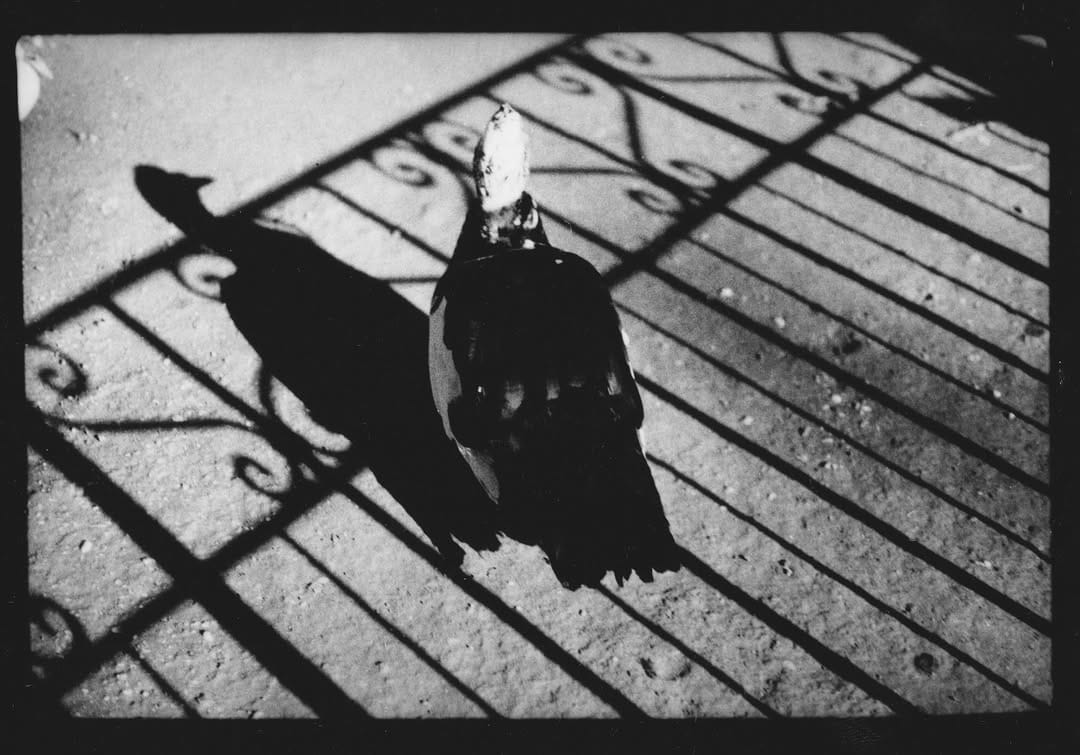 Post 3 by Giacomo Brunelli on Instagram (image)