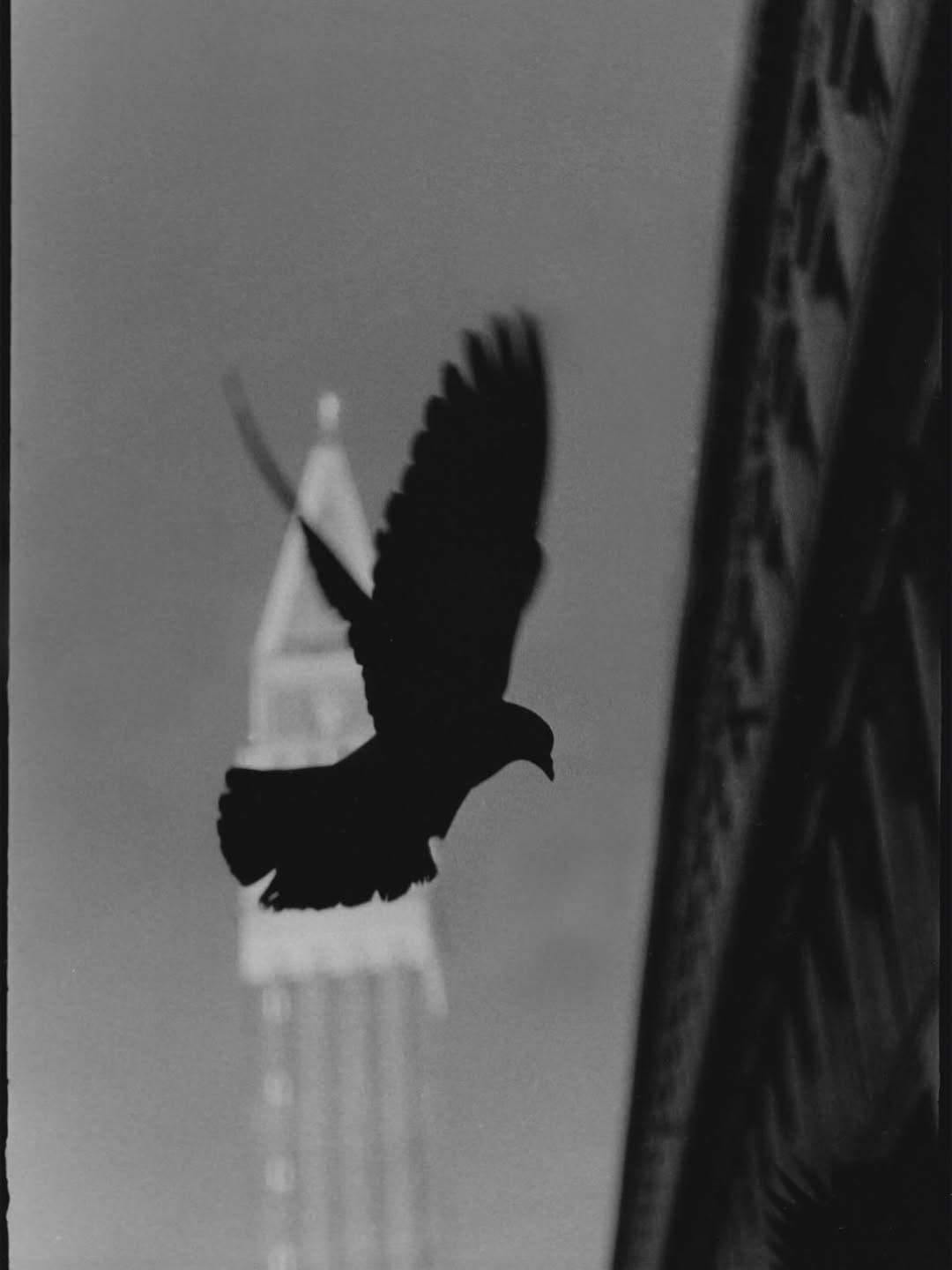 Post 10 by Giacomo Brunelli on Instagram (carousel)