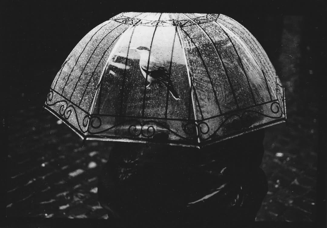 Post 2 by Giacomo Brunelli on Instagram (image)