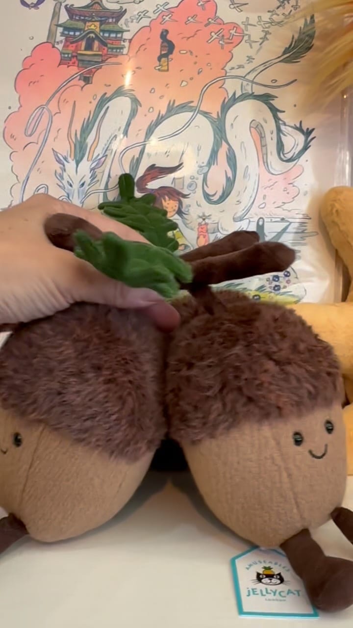 Post 6 by Kinoko Kids 🍄 on Instagram (video)