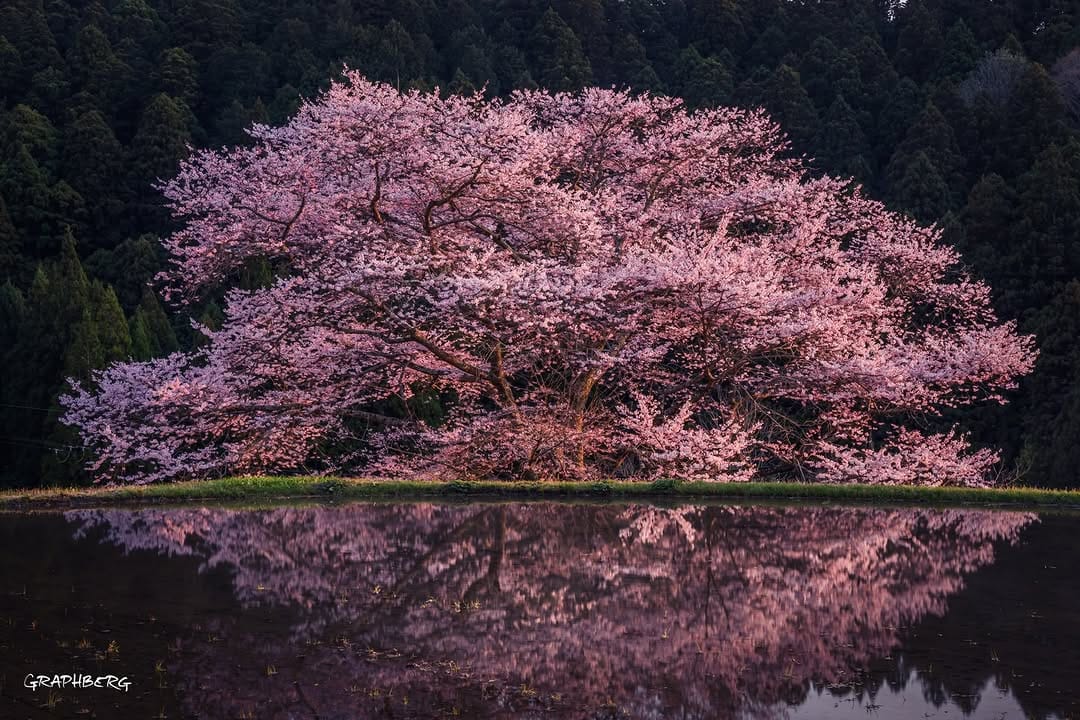 Post 6 by GRAPHBERG on Instagram (image)