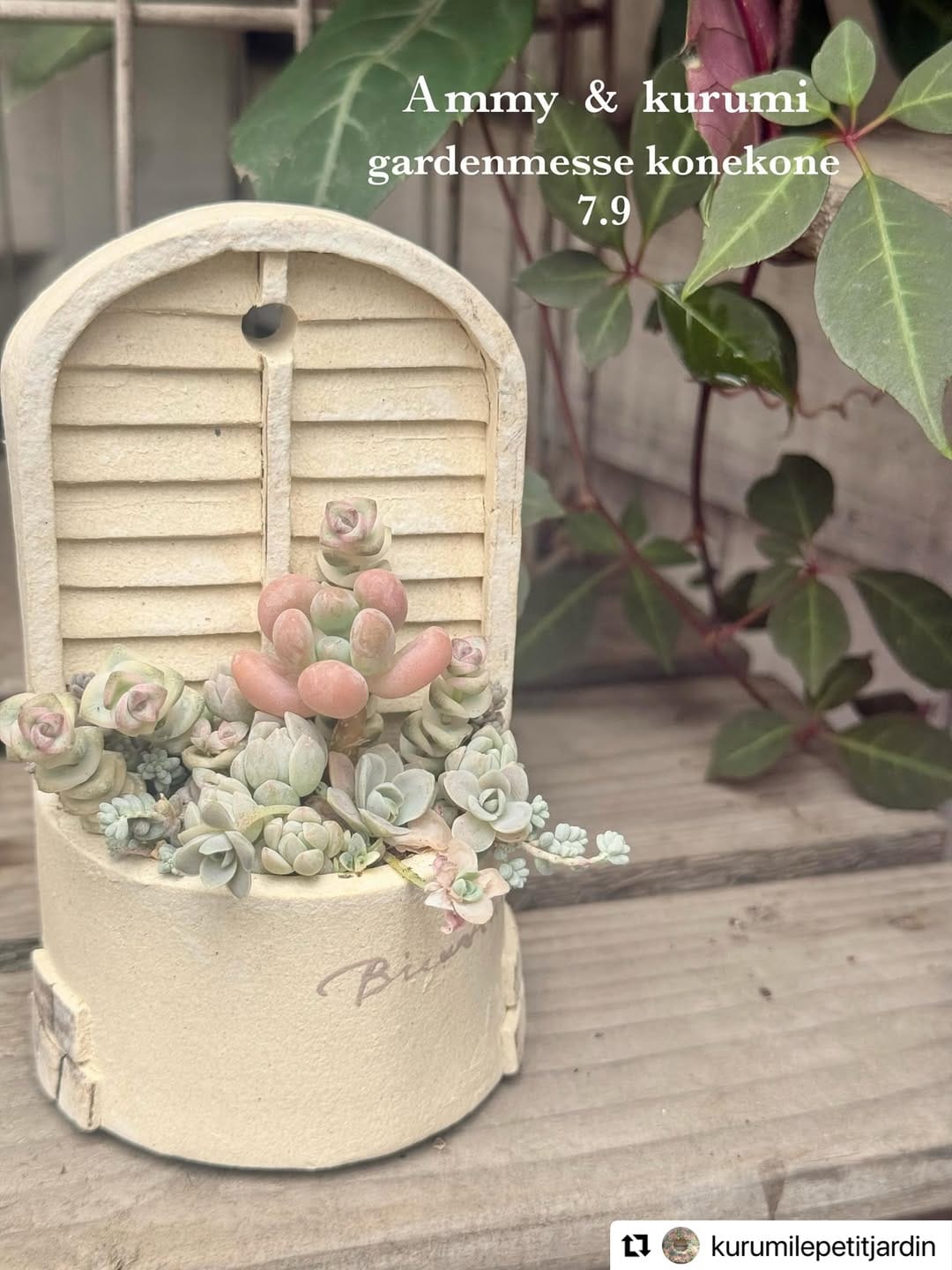 Post 9 by ガーデンメッセ🌵多肉専用アカウント🌵 on Instagram (image)