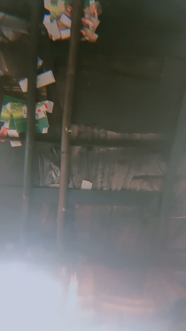 Post 7 by Reshma Kumari on Instagram (video)