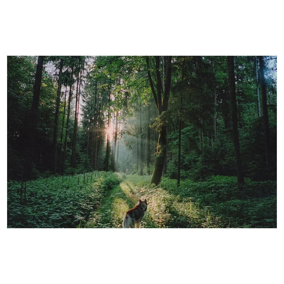 Post 4 by florian hasubick on Instagram (carousel)