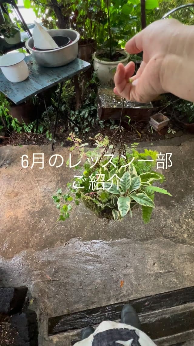 Post 5 by flower shop yadorigi番長 on Instagram (video)