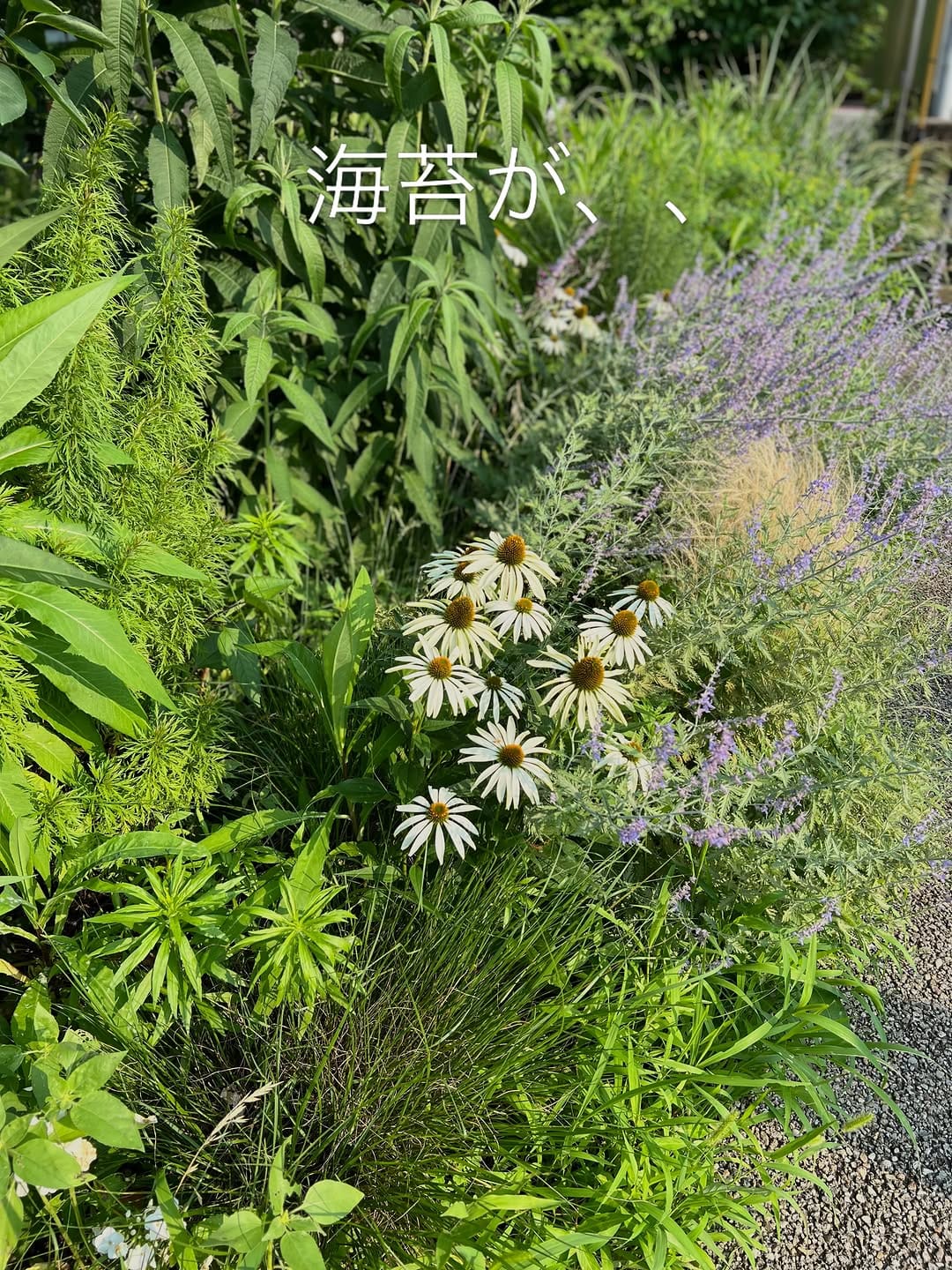 Post 4 by flower shop yadorigi番長 on Instagram (carousel)