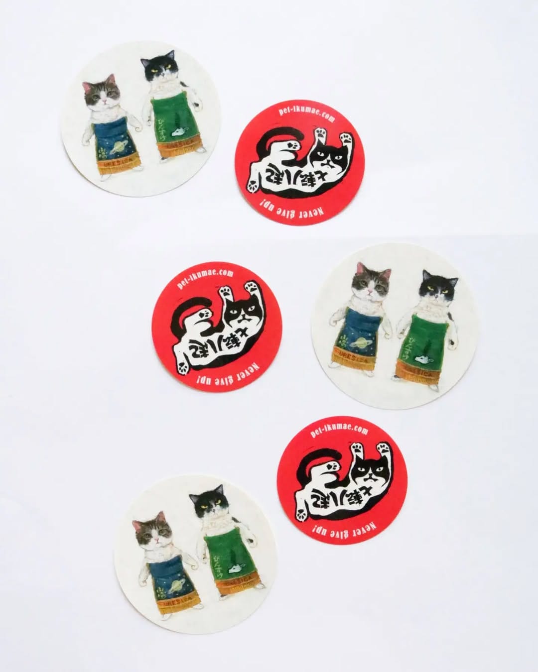 Post 6 by ねこ絵本とねこ雑貨の店 かぎしっぽ　(猫本・猫雑貨) on Instagram (carousel)
