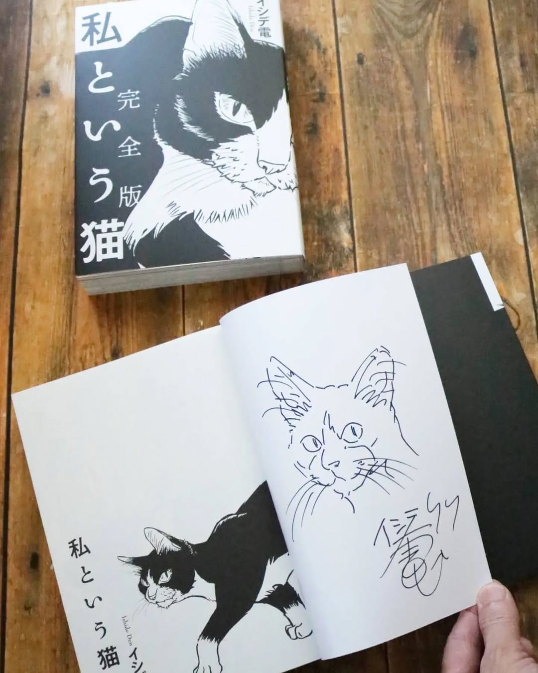 Post 1 by ねこ絵本とねこ雑貨の店 かぎしっぽ　(猫本・猫雑貨) on Instagram (carousel)