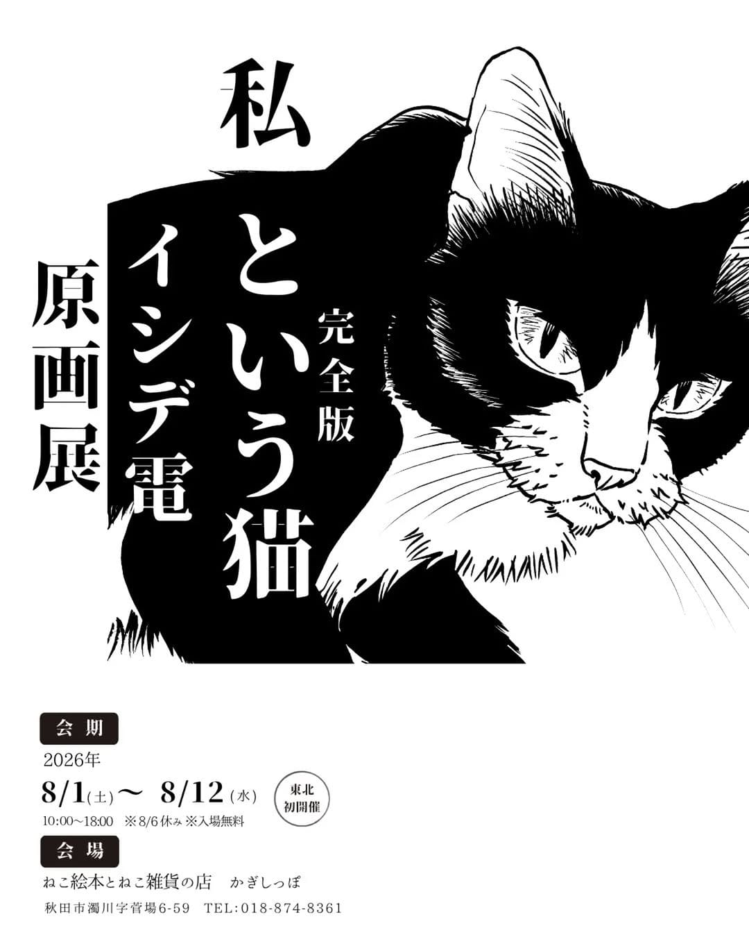Post 9 by ねこ絵本とねこ雑貨の店 かぎしっぽ　(猫本・猫雑貨) on Instagram (carousel)