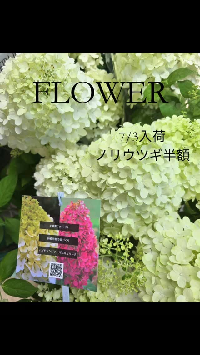 Post 3 by flower house yoshida　|　岐阜の花屋・ワンコと楽しめるフォトブース on Instagram (video)