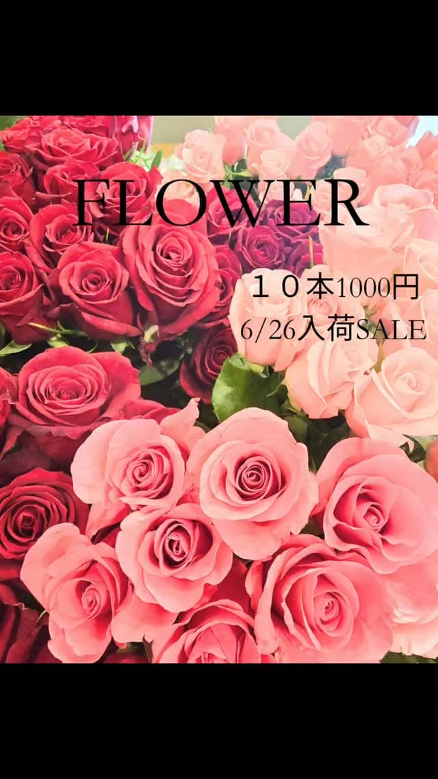 Post 4 by flower house yoshida　|　岐阜の花屋・ワンコと楽しめるフォトブース on Instagram (video)
