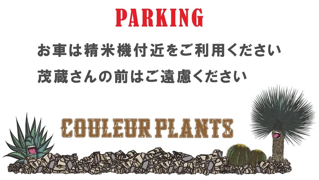 Post 10 by Couleur plants クルールプランツ on Instagram (image)
