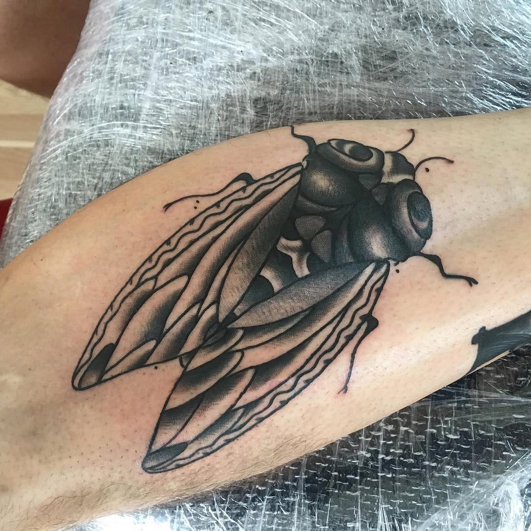 Post 3 by Ivan Shikas on Instagram (image)