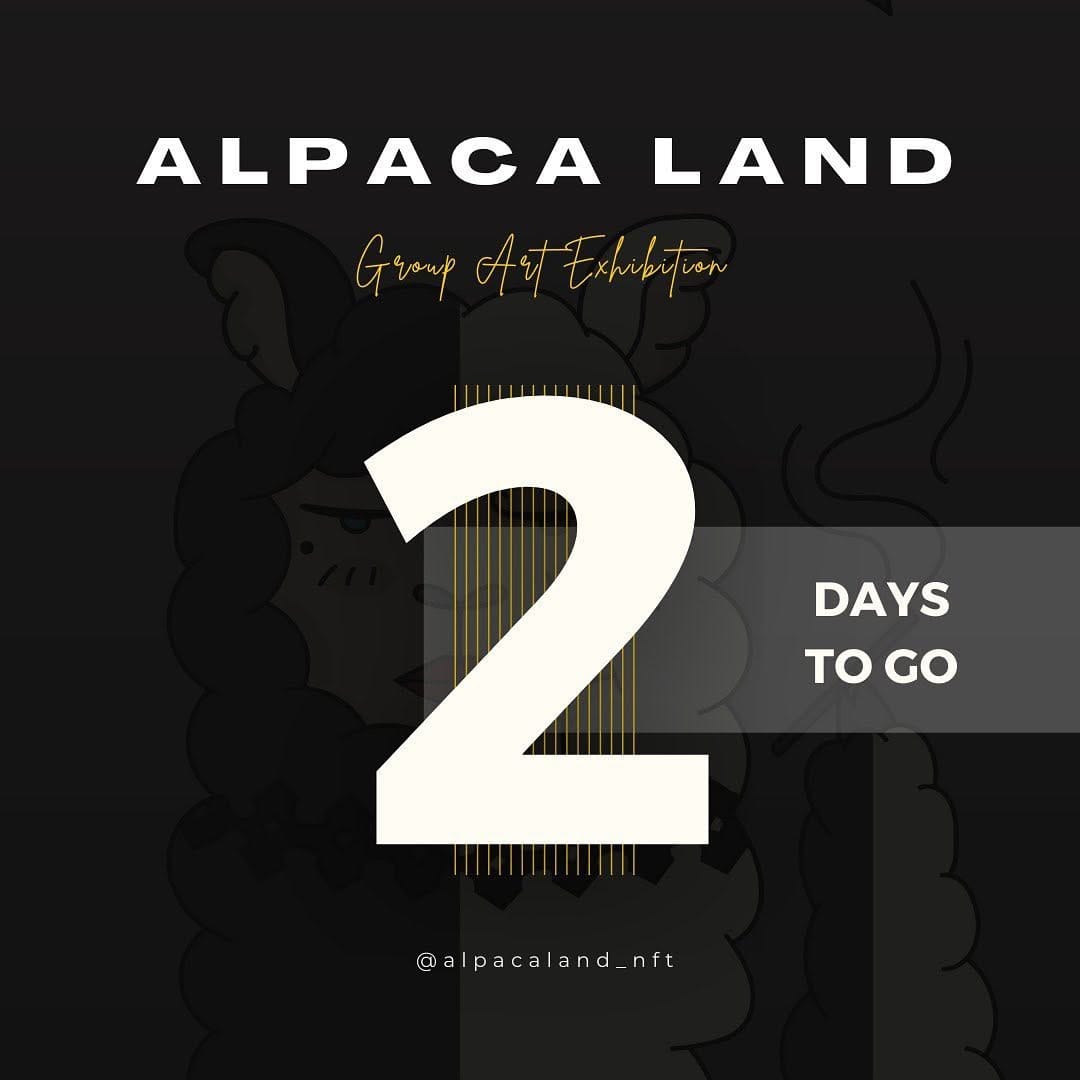 Post 3 by Alpaca Land 🦙 on Instagram (image)