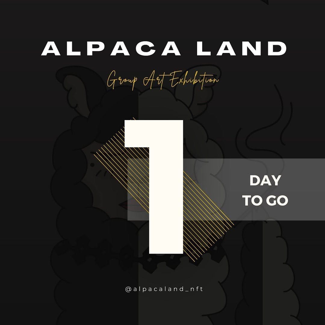 Post 2 by Alpaca Land 🦙 on Instagram (image)