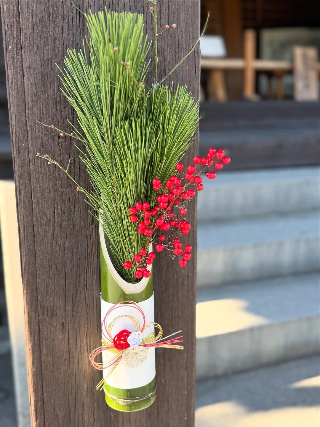 Post 7 by グリーンショップヤマジ(多肉専用) 山地緑化センター on Instagram (image)