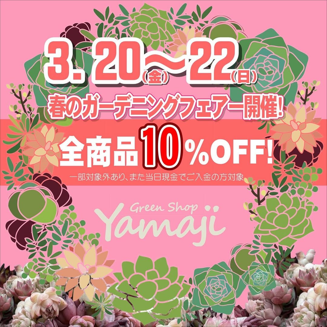 Post 4 by グリーンショップヤマジ(多肉専用) 山地緑化センター on Instagram (carousel)
