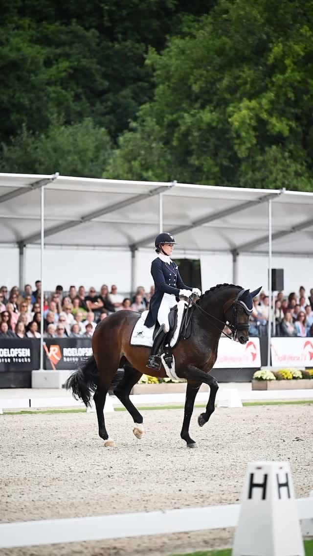 Post 8 by Nicky Bergman Fotografie on Instagram (video)