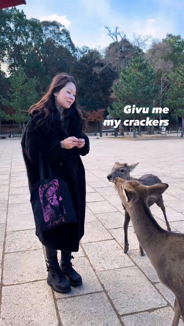 Post 7 by Evangeline Chen on Instagram (video)