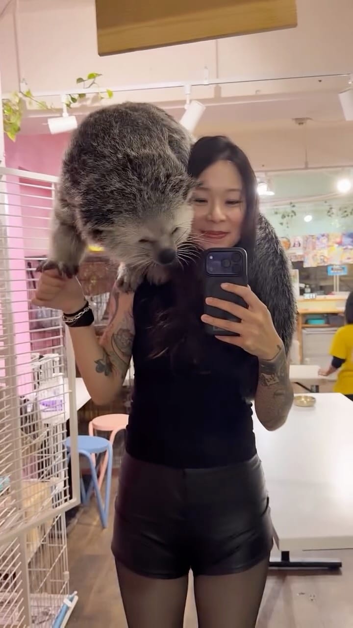 Post 4 by Evangeline Chen on Instagram (video)