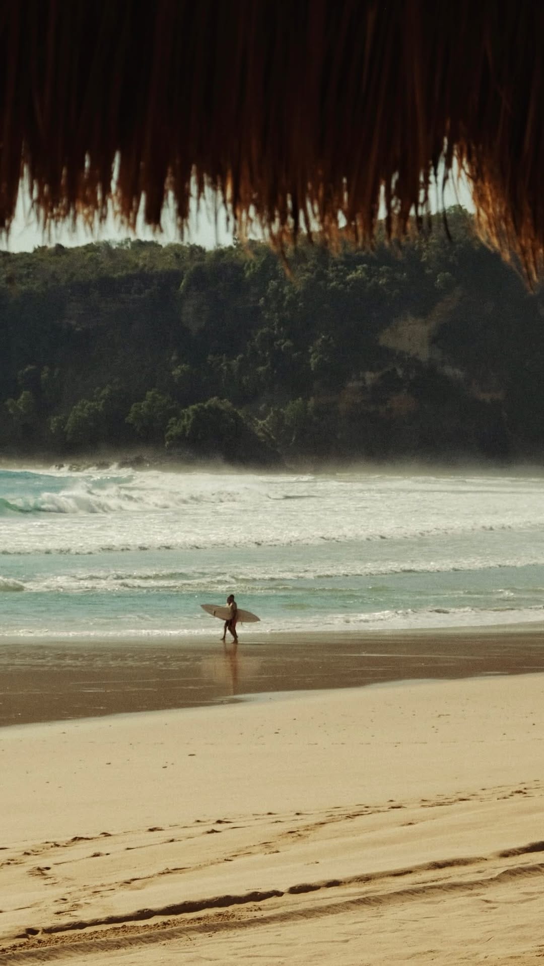 Post 9 by Lorenzo Liverani on Instagram (video)