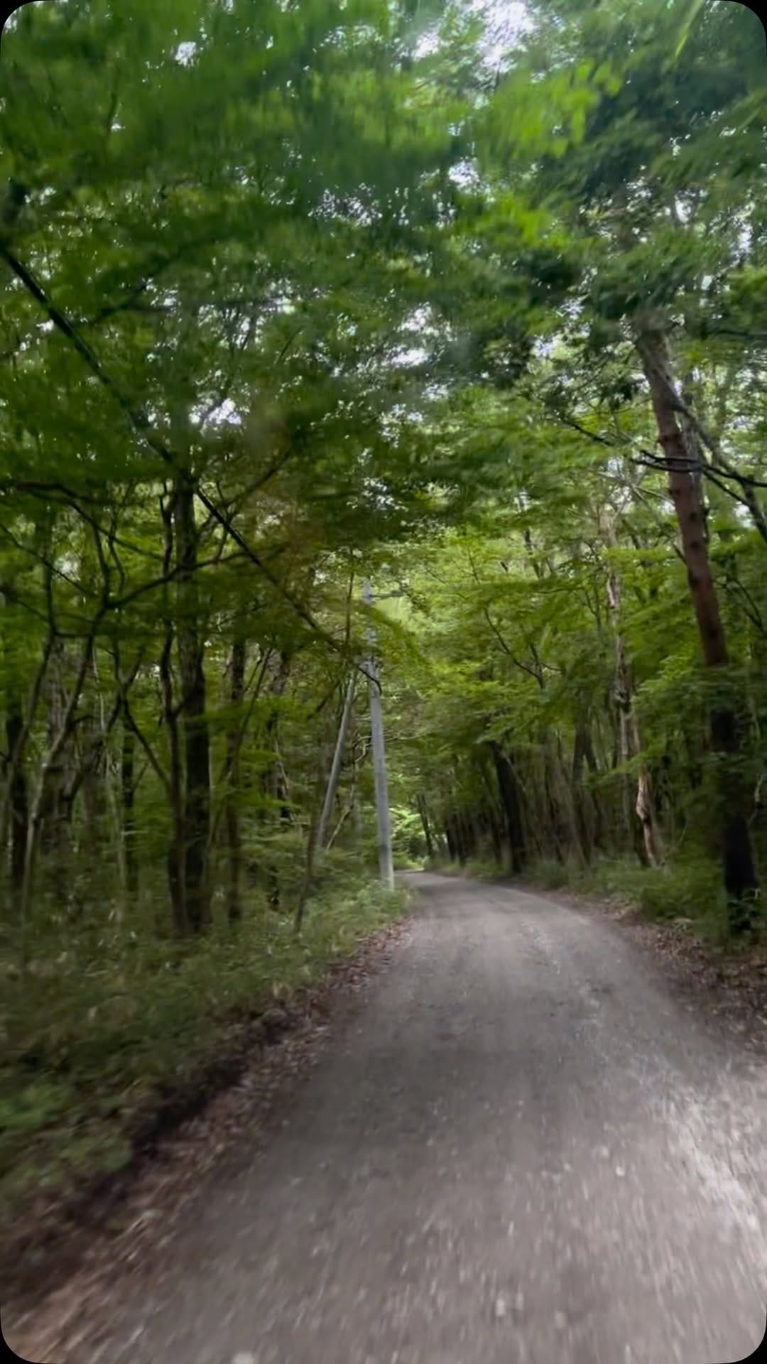 Post 3 by toru numakura on Instagram (video)