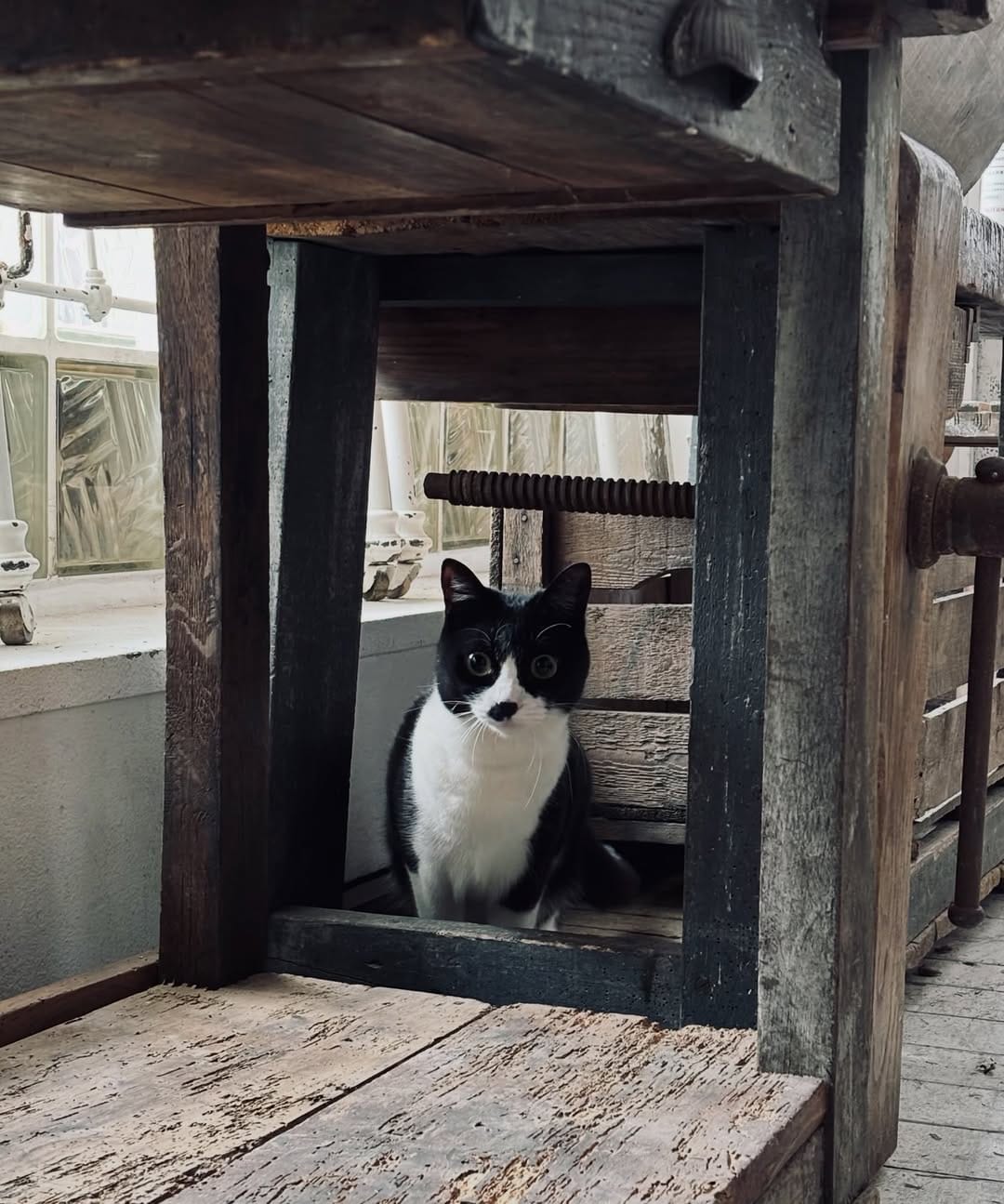 Post 1 by toru numakura on Instagram (image)