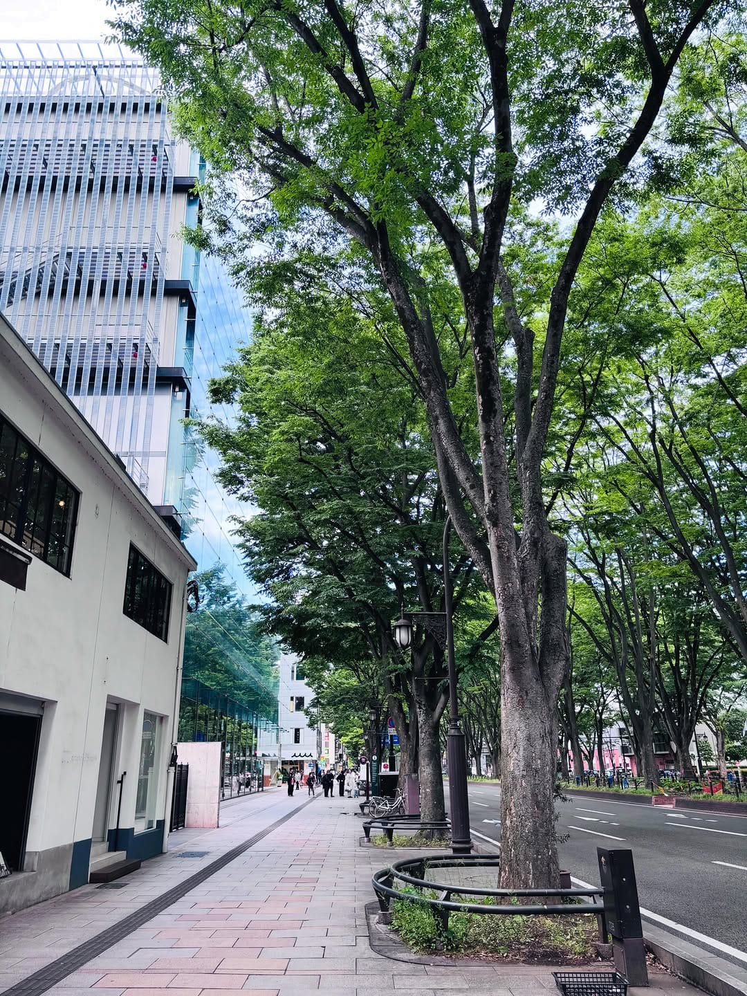 Post 9 by toru numakura on Instagram (carousel)