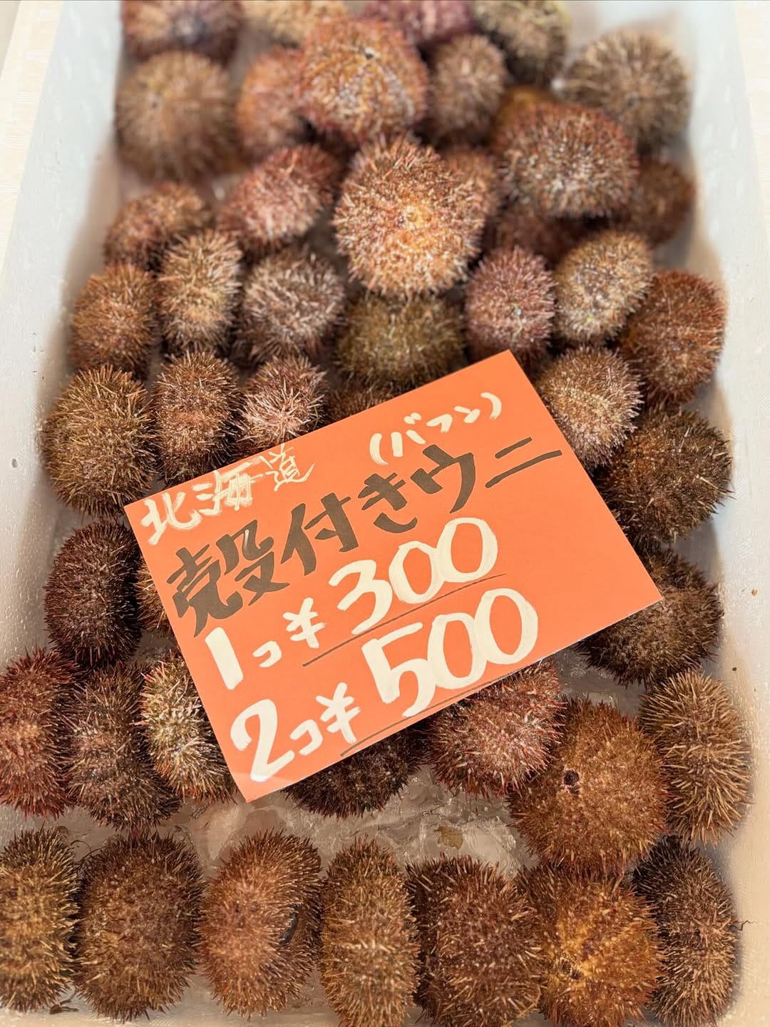 Post 3 by マルトヨ新沼鮮魚店 on Instagram (carousel)