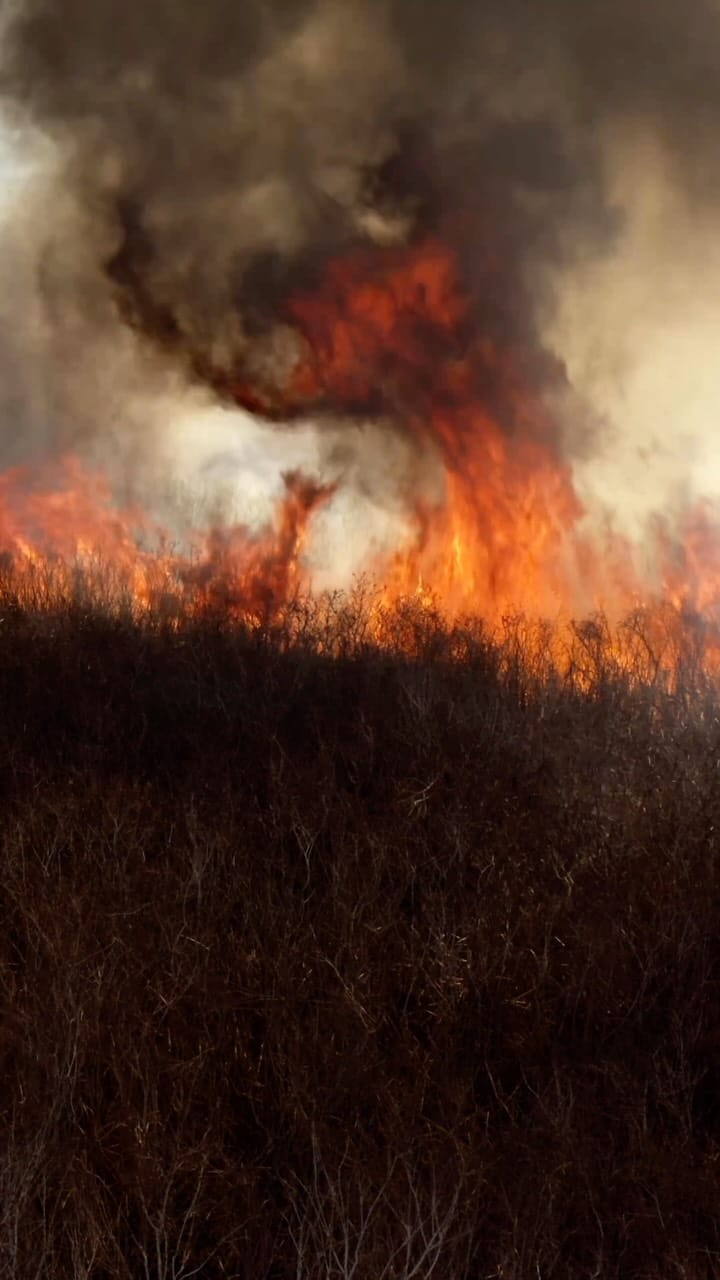 Post 4 by Jeff Gammons | Storm Chaser on Instagram (video)