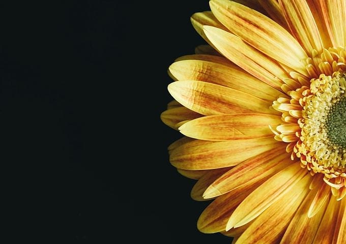 Post 6 by Vangelis Psaris Fotógrafo on Instagram (image)