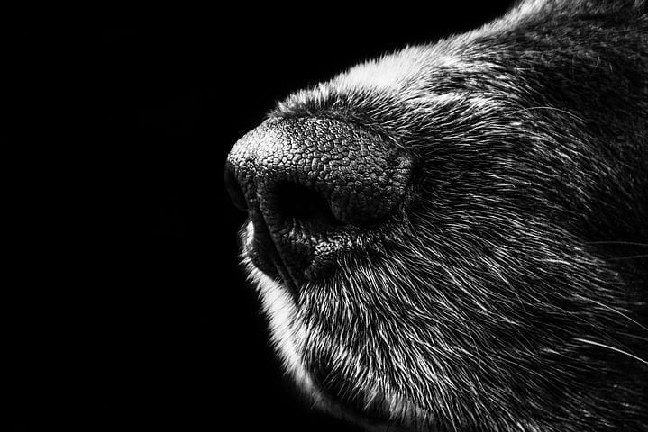 Post 9 by Vangelis Psaris Fotógrafo on Instagram (image)