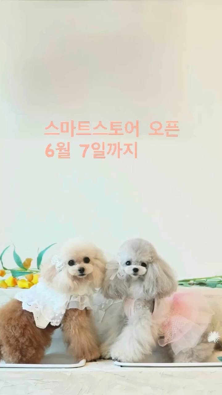 Post 4 by 마이니 (mYnee) on Instagram (video)