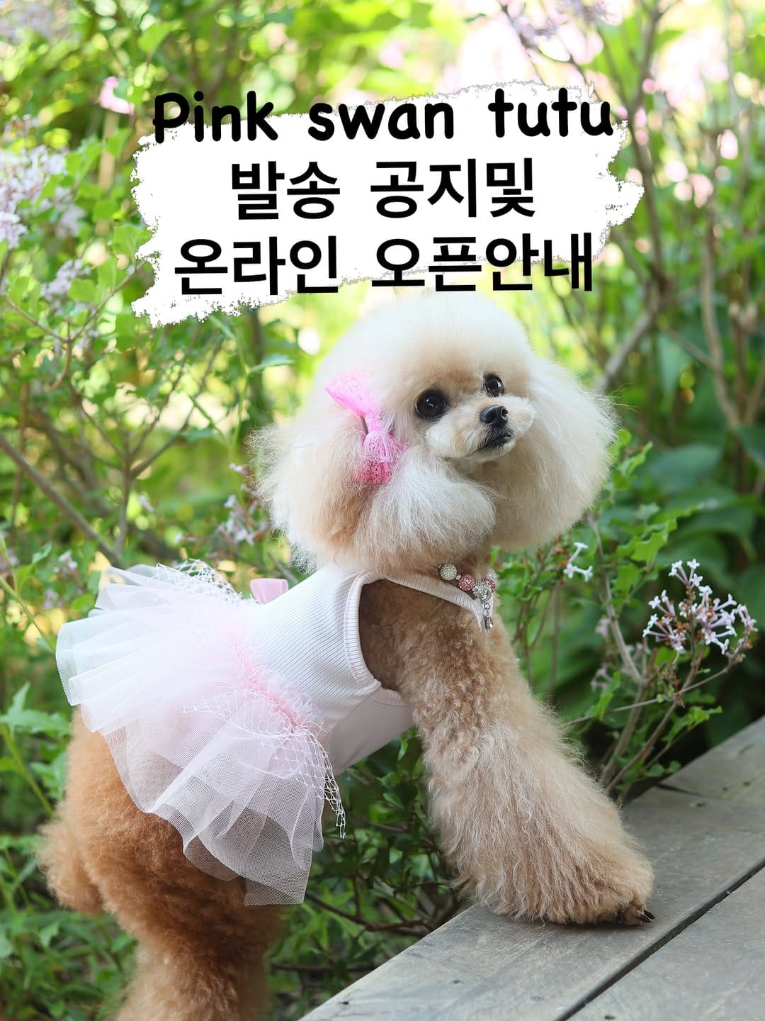 Post 2 by 마이니 (mYnee) on Instagram (image)