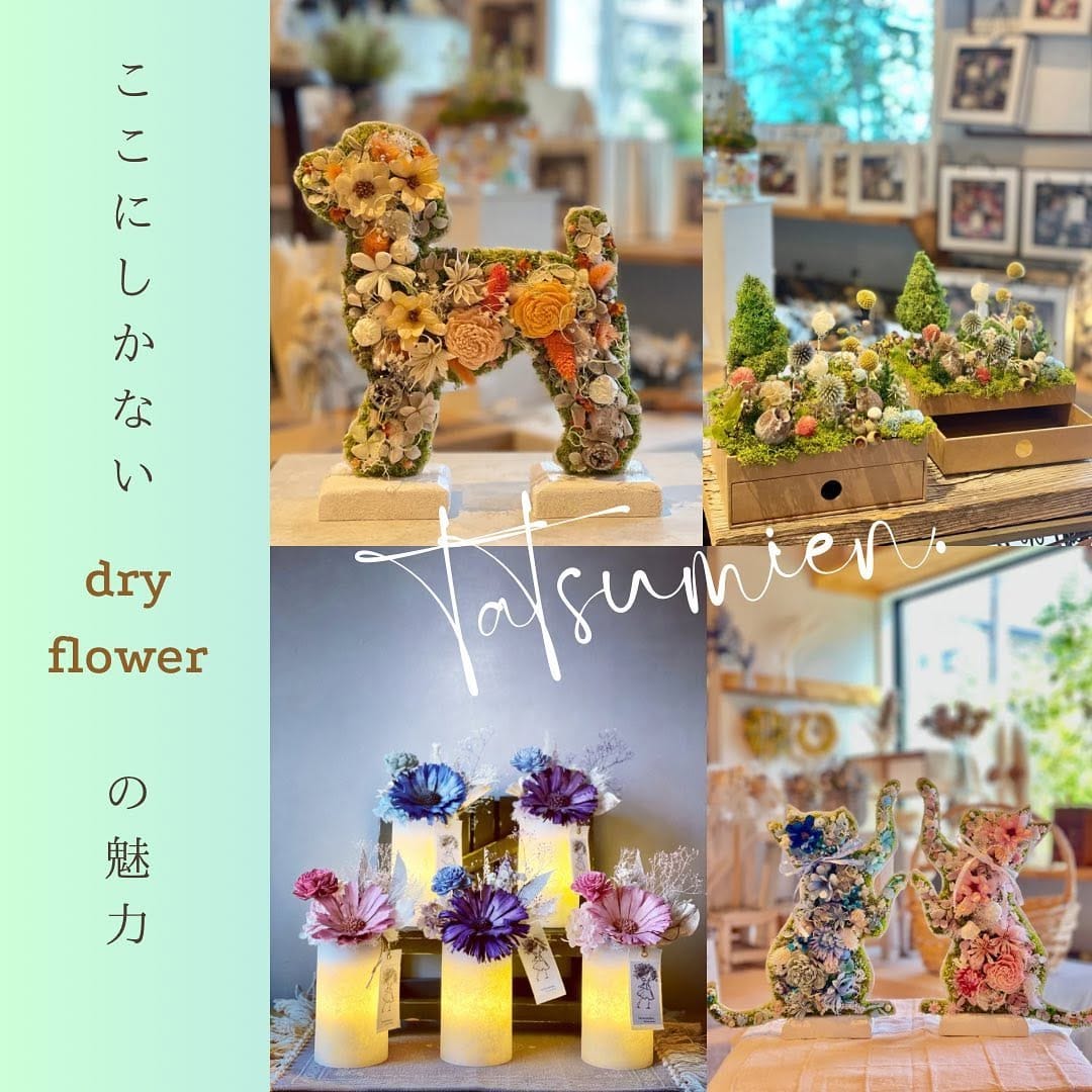 Post 9 by ドライフラワー雑貨専門店 | tatsumien.(ﾀﾂﾐｴﾝ) on Instagram (carousel)