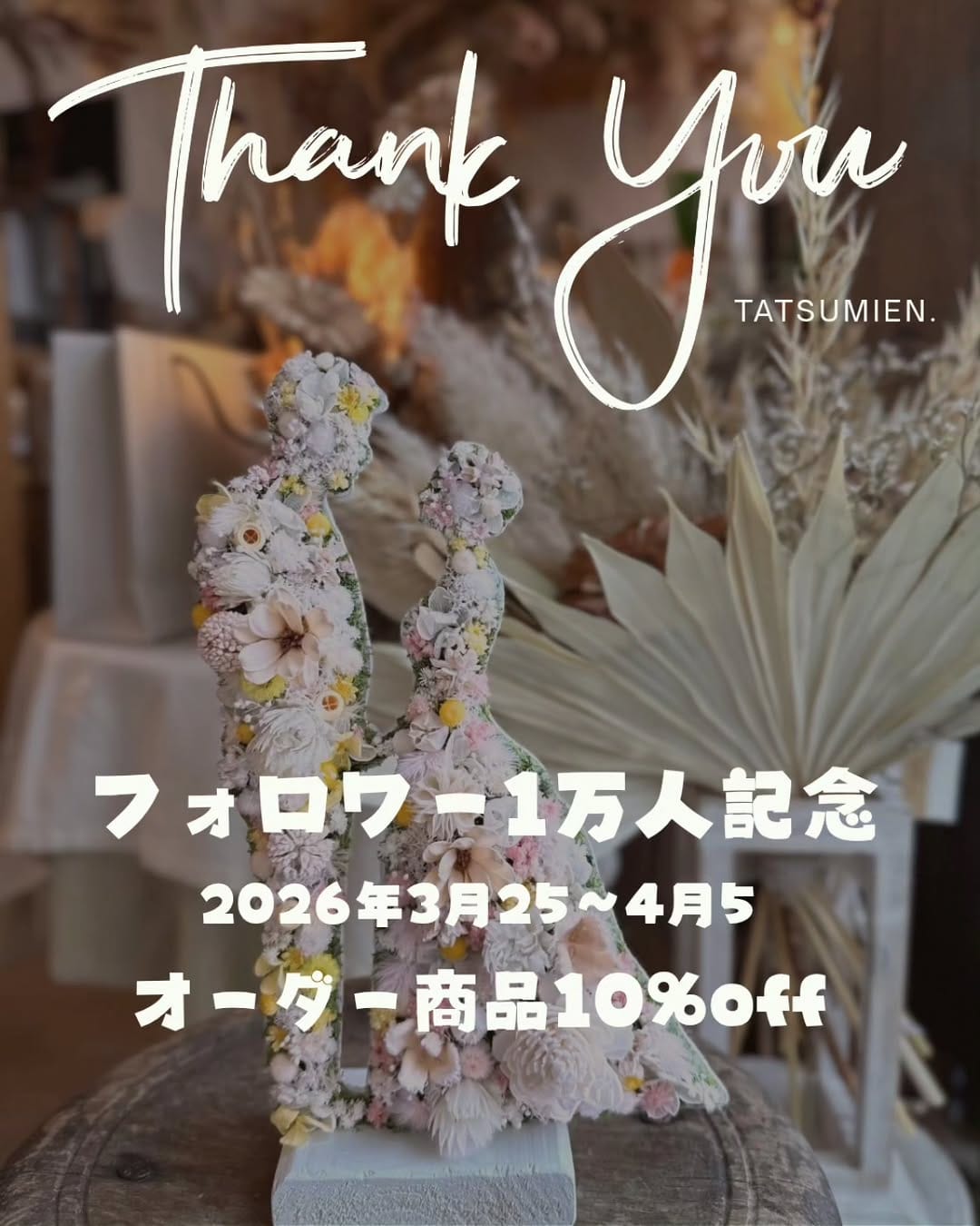 Post 6 by ドライフラワー雑貨専門店 | tatsumien.(ﾀﾂﾐｴﾝ) on Instagram (image)
