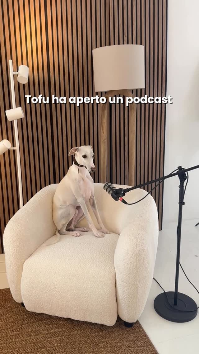 Post 5 by Camilla | GREENtips on Instagram (video)