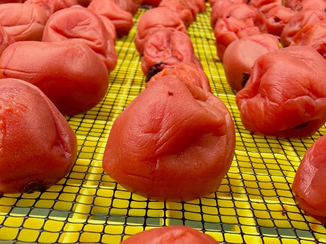 Post 3 by 【日本初の梅カフェ】umecaféWAON by 吉田屋 on Instagram (carousel)
