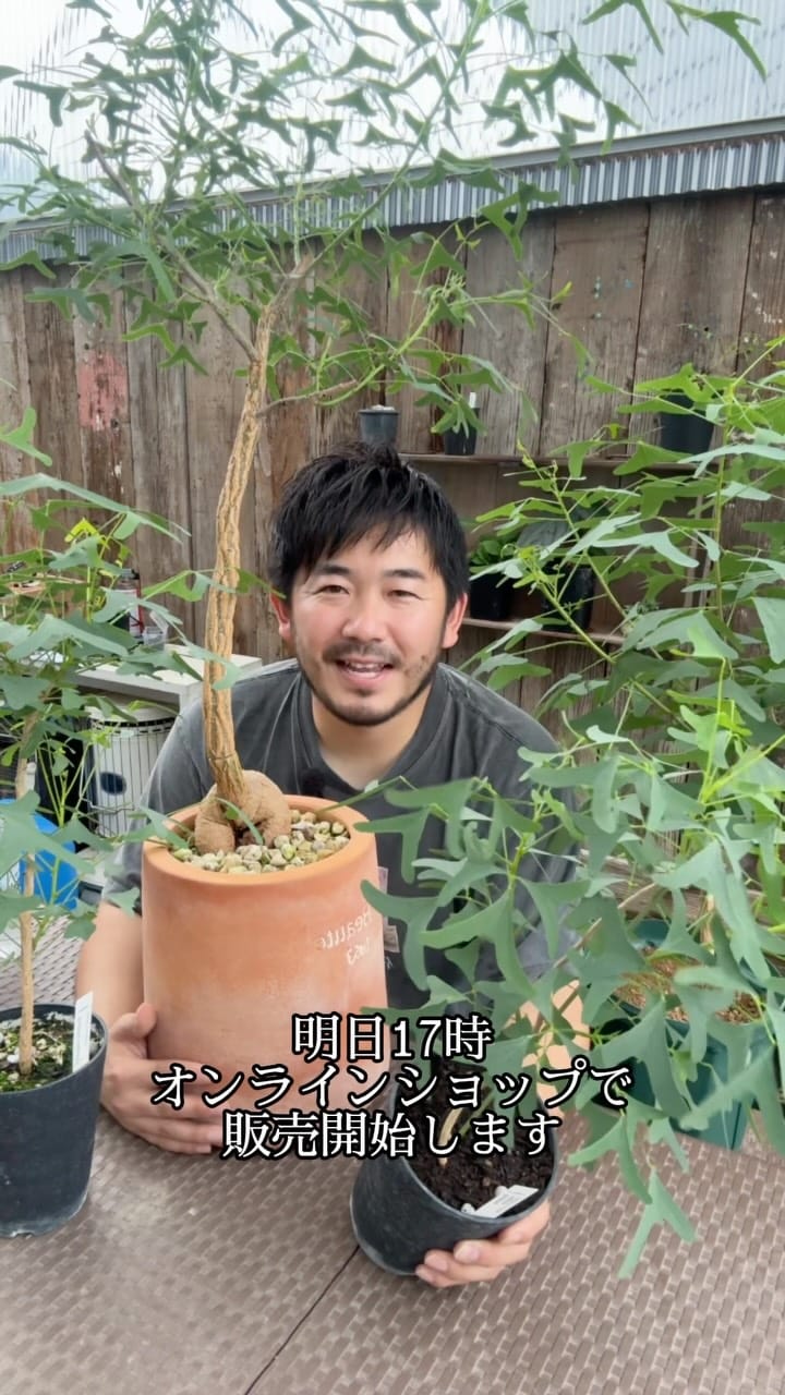 Post 2 by 見元園芸 直営店トミーの庭 on Instagram (video)