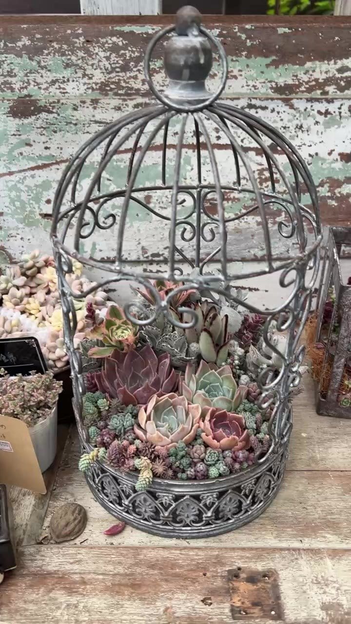 Post 7 by cottage garden on Instagram (video)