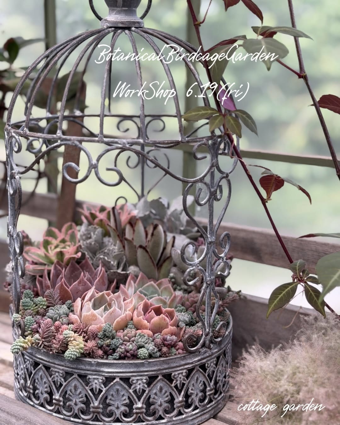 Post 10 by cottage garden on Instagram (carousel)