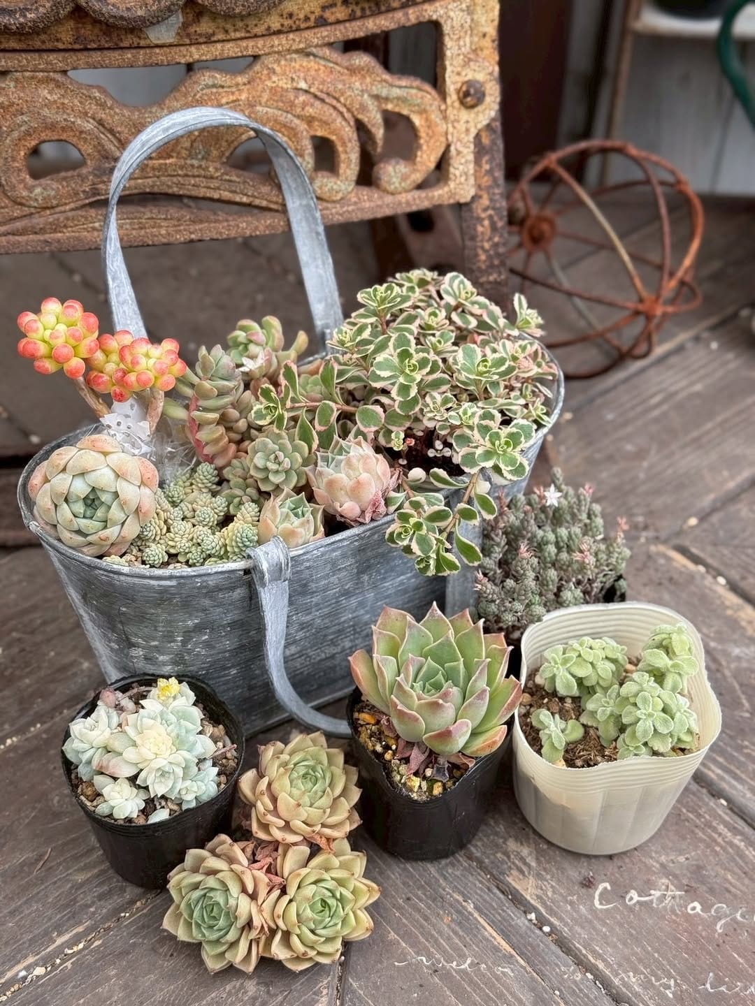 Post 4 by cottage garden on Instagram (carousel)