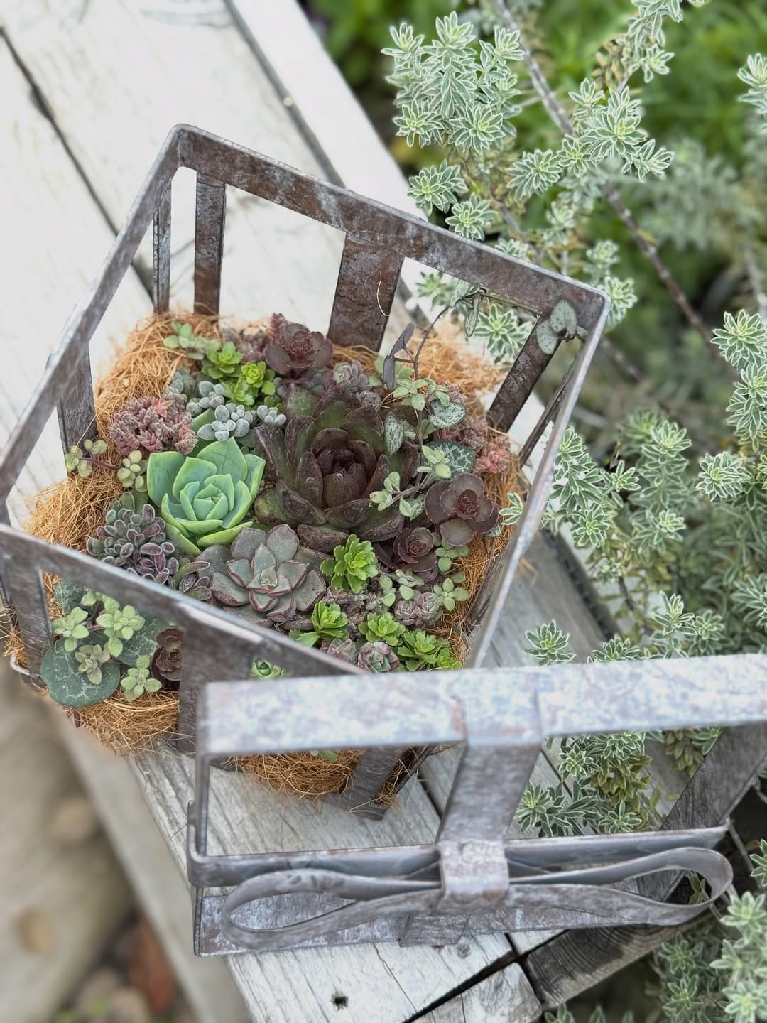 Post 5 by cottage garden on Instagram (carousel)