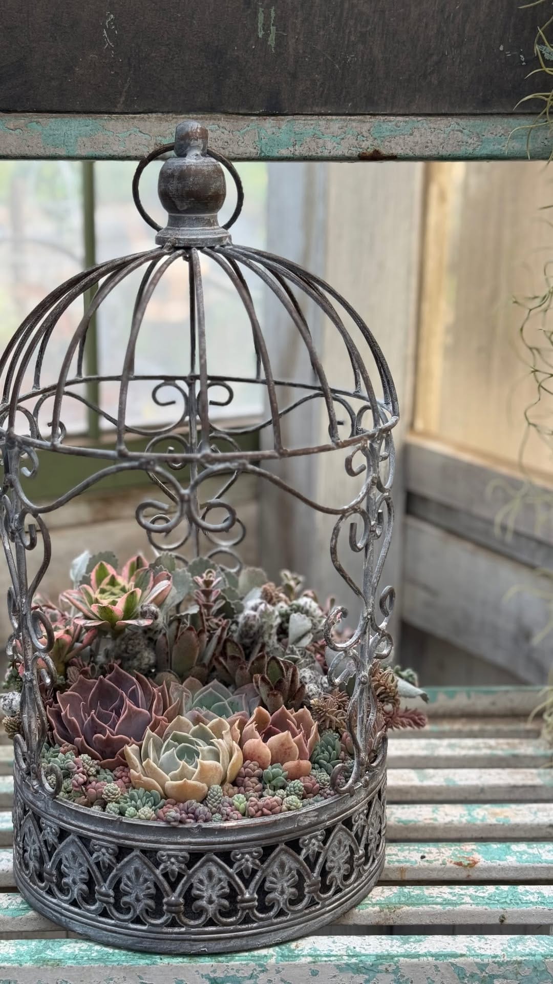 Post 6 by cottage garden on Instagram (video)